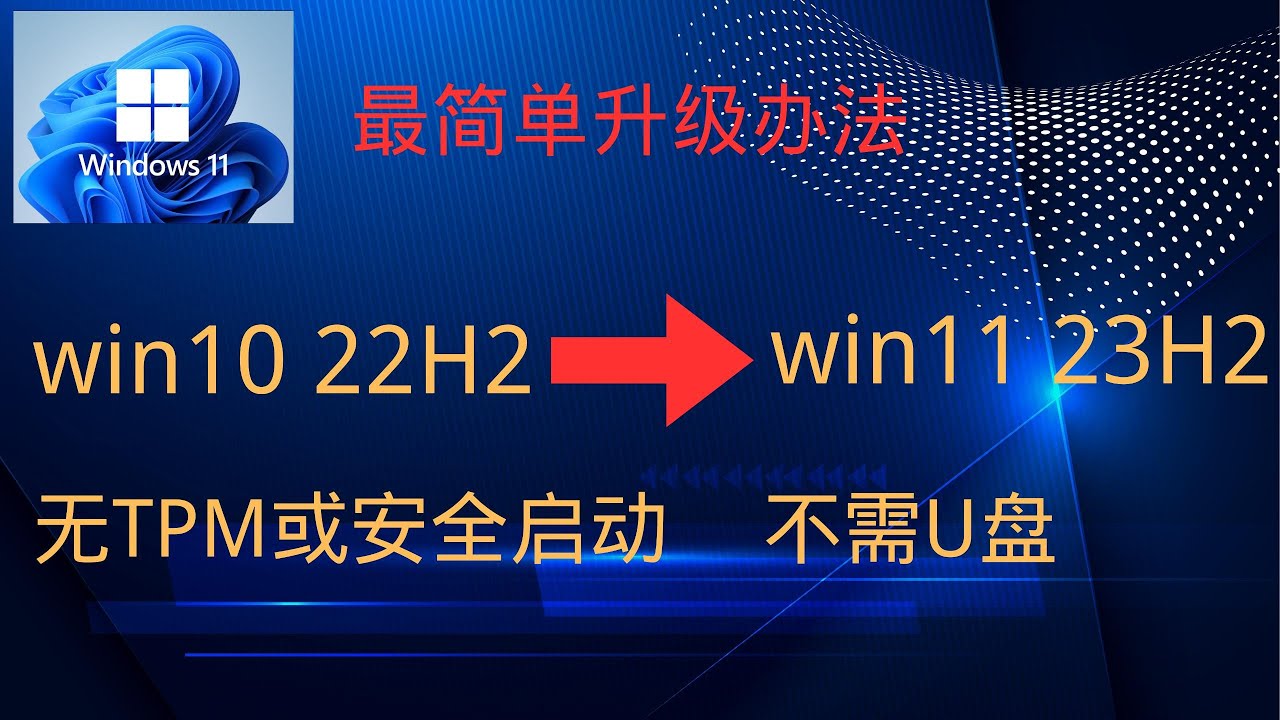 王女的盛争安及版最新：深入分析及新手指导