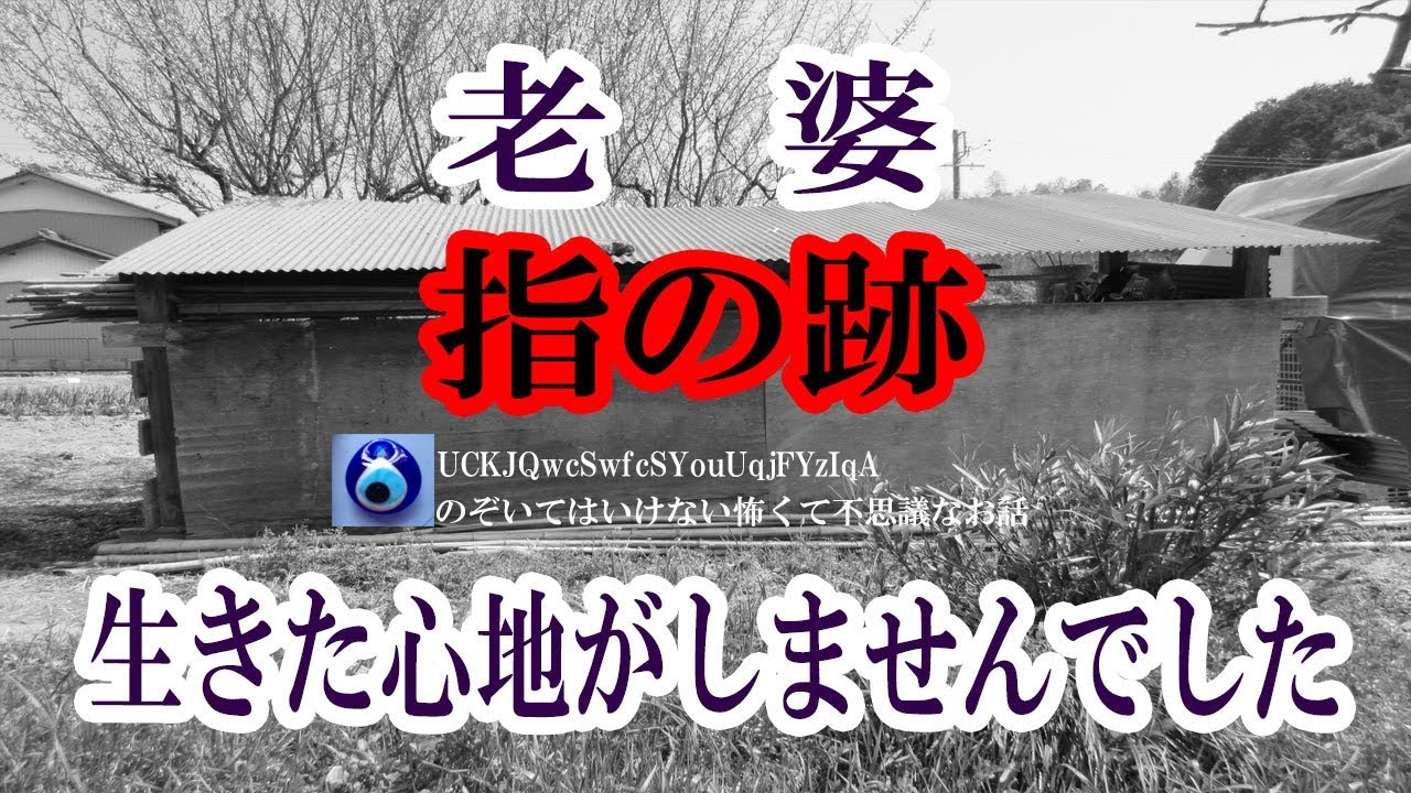 老鸭窝最新地址发布站：深度解析与风险提示