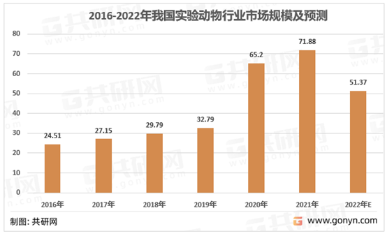 最新快玩游戏体验：深度解析与未来展望