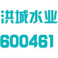 洪城水业今天最新消息：深度解析公司动态及未来发展趋势