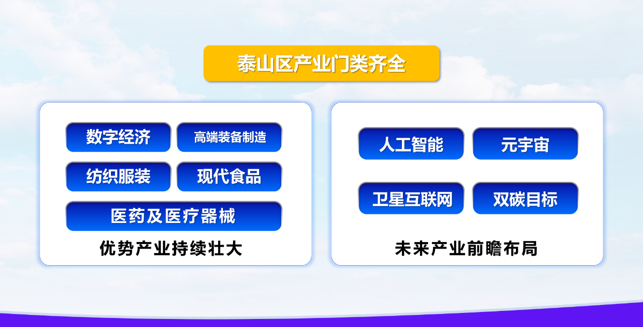 网红币小蚁币最新消息：深度解析其价格波动、技术发展与未来趋势