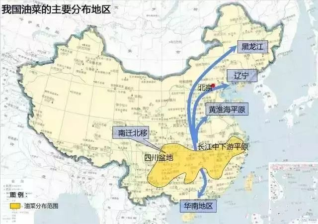 2024小麦价格走势预测：影响因素、市场分析及未来展望