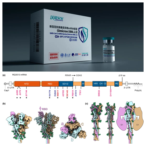 解码最新新冠疫苗信息：技术进展、接种策略及未来展望
