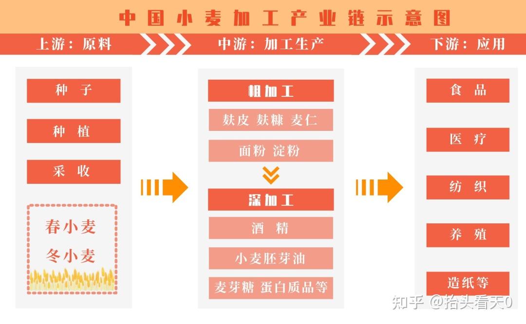 面粉公司最新招聘信息：2024年行业人才需求及发展趋势分析