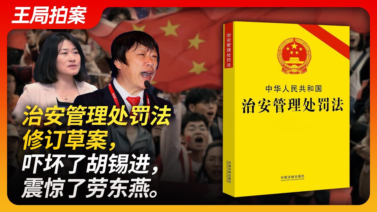 解读最新的治安管理处罚法：从修法历程到未来展望