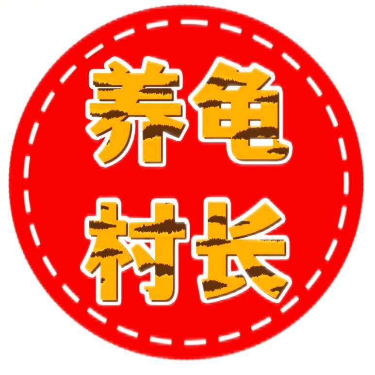 金头闭壳龟最新消息：保护现状、市场行情及未来展望