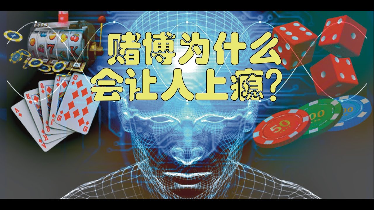 深度解析最新一期必中一肖图30：预测方法、风险分析及未来趋势