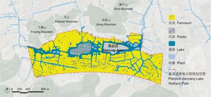 代桥湿地公园最新动态：生态建设、公众参与及未来发展规划