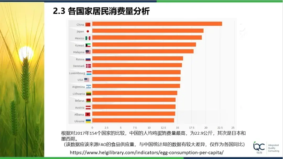 湖北中贝蛋业最新消息：产能提升、市场拓展及未来发展战略分析