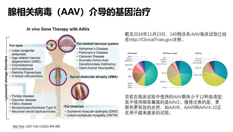 色弱治疗最新方法：基因疗法、光学矫正及未来展望