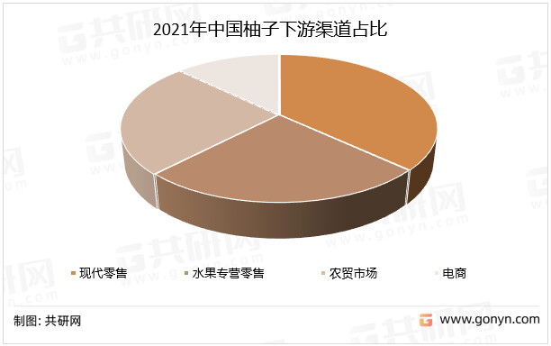 最新蜜柚市场分析：品种、价格、趋势及未来展望